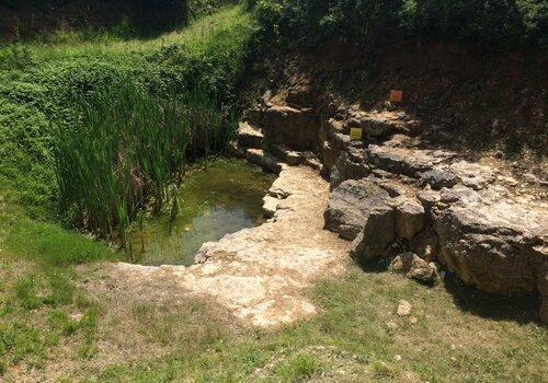La roche calcaire de la carrière du Haut de la Plaine Saint gille sur la réserve naturelle régionale géologique de Pontlevoy s'est formée il y a 23 millions d'années dans le lac de Beauce. Aujourd'hui, elle est visible suite à l'exploitation de la roche par l'homme et accueille, dans sa mare de nombreux amphibiens et odonates.