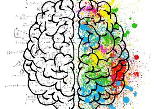 Neuromythe