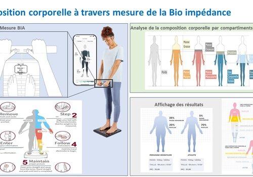 composition corporelle