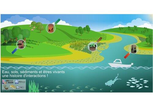 Eau, sol, sédiment et êtres vivants : une belle histoire d'interactions ! Eau, sol, sédiment et êtres vivants : une belle histoire d'interactions !