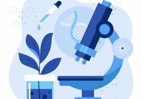 Microscope Quiz microscope