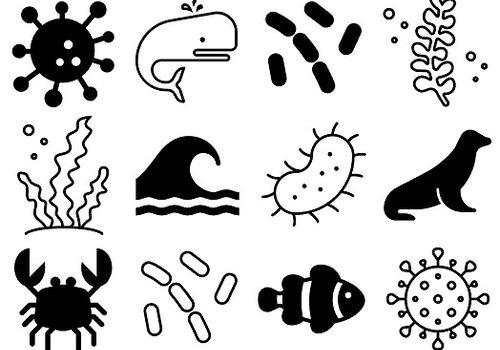 Icônes sur le thème de l'océan et de la microbiologie Icônes sur le thème de l'océan et de la microbiologie