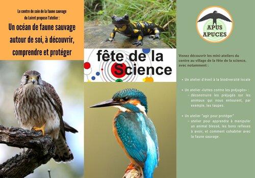 Un océan de faune sauvage à découvrir, comprendre et protéger image titrée "Un océan de faune sauvage à découvrir, comprendre et protéger" et est illustrée par un faucon crécerelle, une salamandre et un martin-pêcheur.