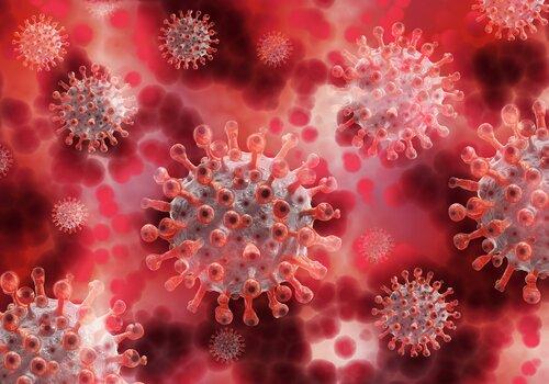 virus
