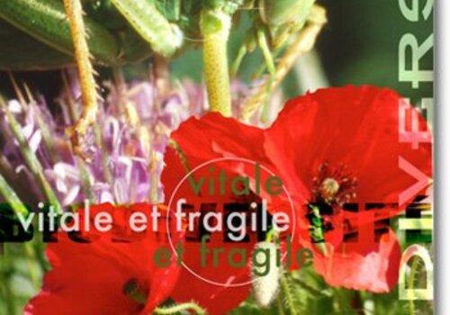 Biodiversité vitale et fragile Différentes espèces illustrant la biodiversité
