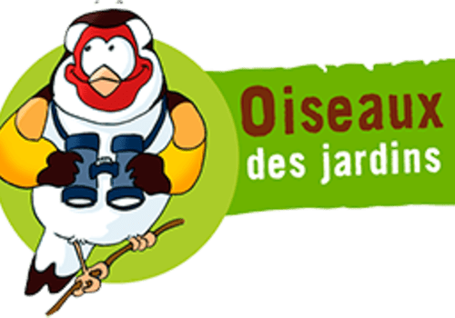 L'observatoire "oiseaux des jardins", un programme de sciences participatives