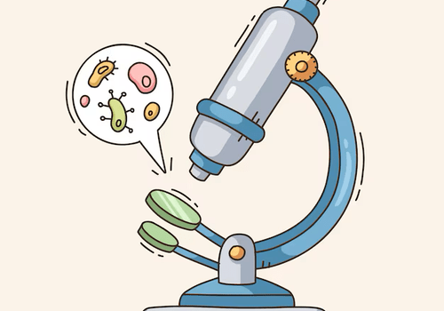 Observation à travers un microscope