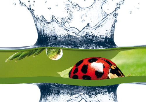 visuel-h2o visuel-h2o