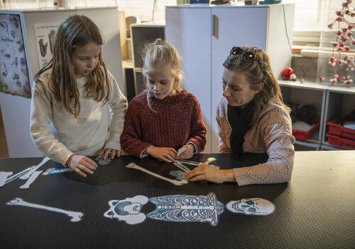 Atelier corps humain