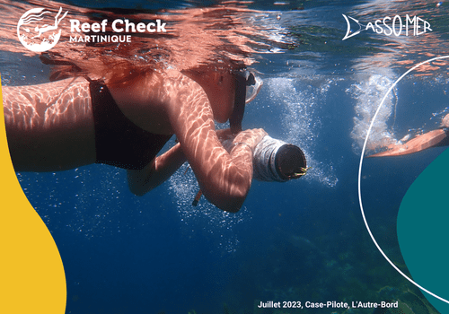 Mission Reef Check : Le récif martiniquais sous surveillance personne en palme masque tubas réalisant un suivi scientifique