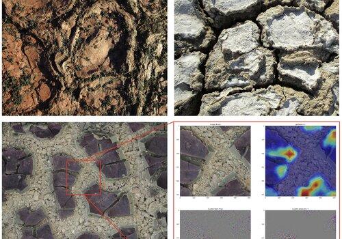 Vrai ou fossile Vrai ou fossile