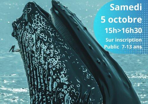 Atelier Cétaplanète - Médiathèque de Locminé Affiche atelier Cétaplanète à la découverte des baleines à bosse - Médiathèque de Locminé