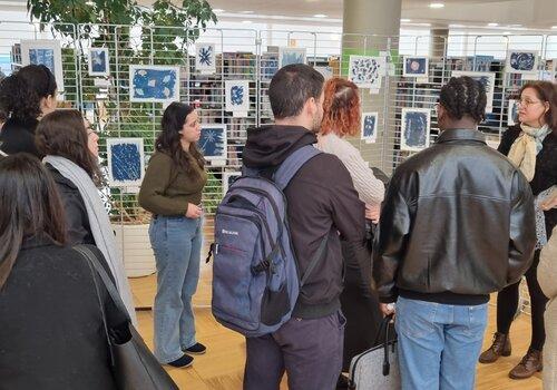 exposition cyanotypes exposition cyanotypes