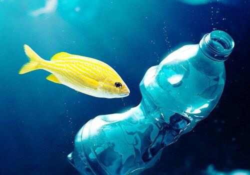 La Méditerrannée : une mer de plastique fond marin avec un poisson et des déchets plastiques