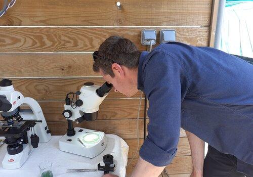 Microscope