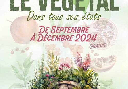 Le végétal dans tous ses états
