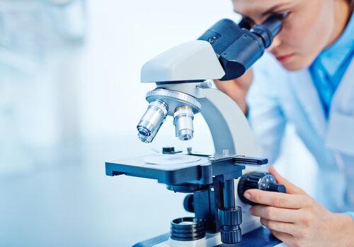 Scientific studies Personne observant au microscope