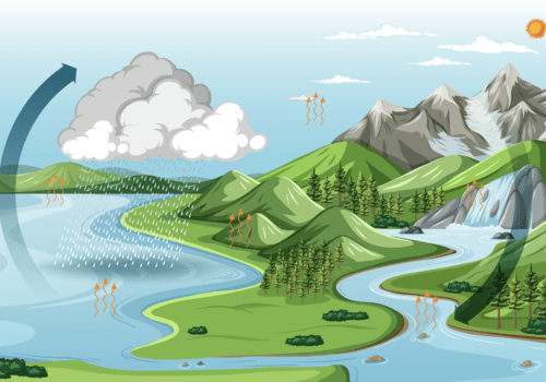 Cycle de l'eau