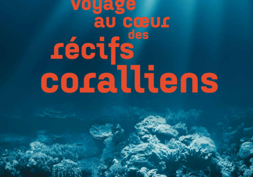 Exposition voyage au coeur des récifs coralliens