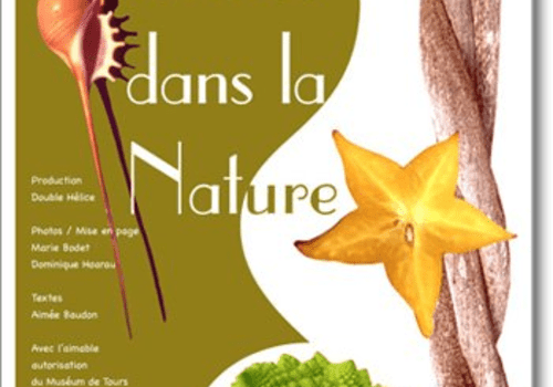 Les formes dans la nature