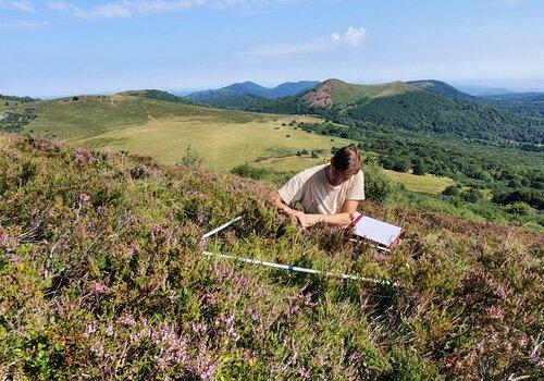 Mesures sur les fleurs des landes d’altitude du Petit Puy de Dôme Paysage des volcans d'Auvergne avec un ecologue prenant des mesures de la végétation