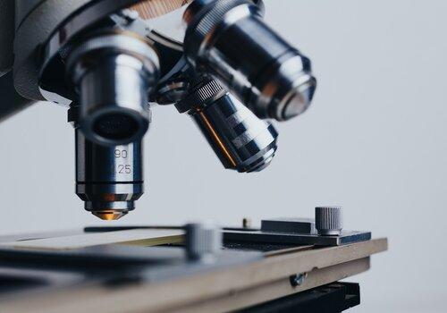 Atelier Le monde microscopique qui nous entoure Microscope