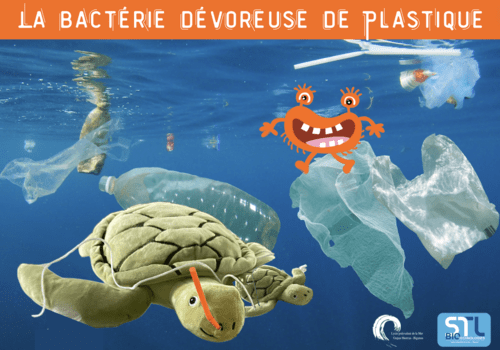 La bactérie dévoreuse de plastique Image présentant les déchets plastiques de l'océan avec une tortue de mer en peluche avec une paille bloquée dans les voies respiratoires.