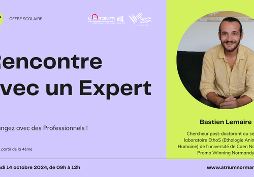 Rencontre avec un expert, Bastien Lemaire