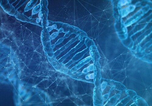 Atelier Voyage au cœur de la cellule : l'ADN dévoilé ADN