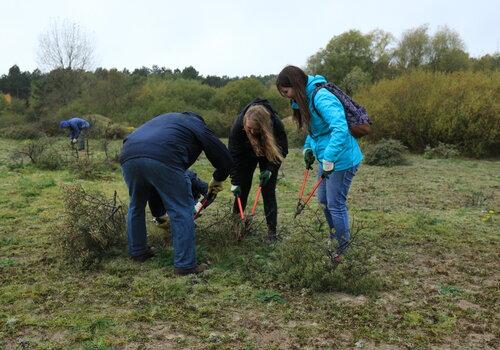 Plateau des Landes (62)