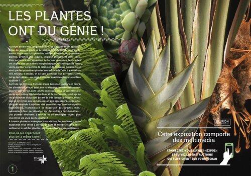 Les plantes ont du génie !