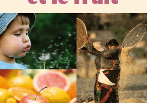 La graine et le fruit