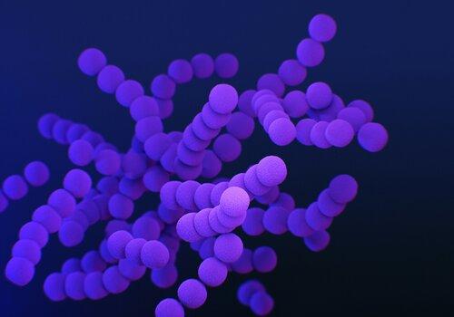 Polymères Polymères