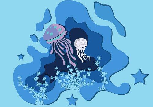 jellysish jellyfish