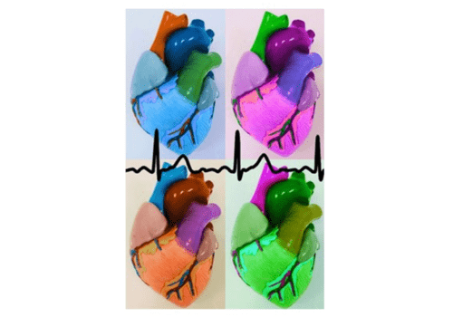 Le coeur et ses maladies Le coeur et ses maladies