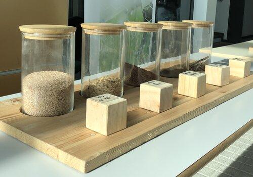 le jeu des biomasses