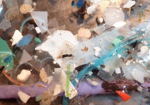 Les microplastiques sur une plage du Finistère Les microplastiques sur une plage du Finistère