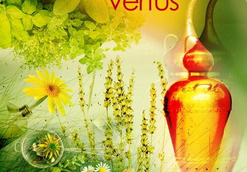 Plantes aux mille vertus