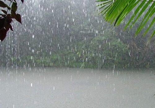pluie guyane
