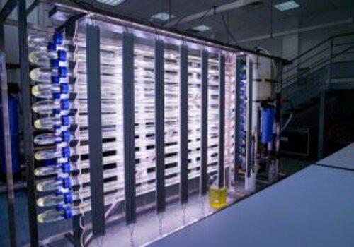 bioreacteur pour cultiver les microalgues bioreacteur pour cultiver les microalgues