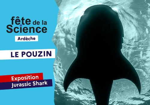Exposition : Jurassic Shark -