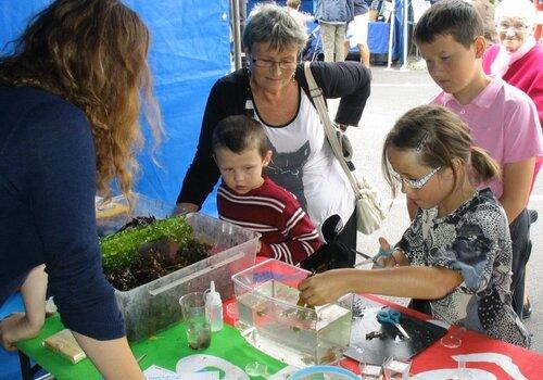 Atelier Les Petits débrouillards : La vie dans et autour de l'océan