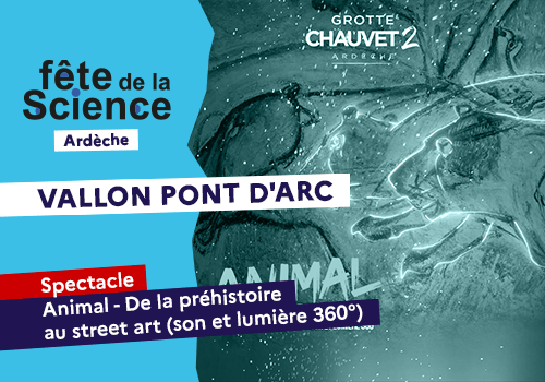 Spectacle : Animal - De la préhistoire au street art (son et lumière 360°) -