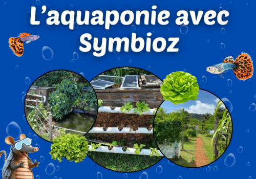 l'aquaponie pour tous l'aquaponie