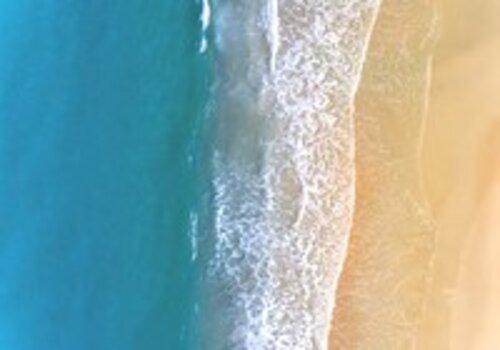 Vagues de l'océan
