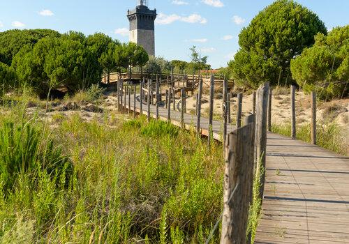 Phare Espiguette Phare Espiguette