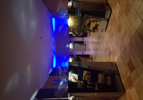 Exposition immersive Visite commentée