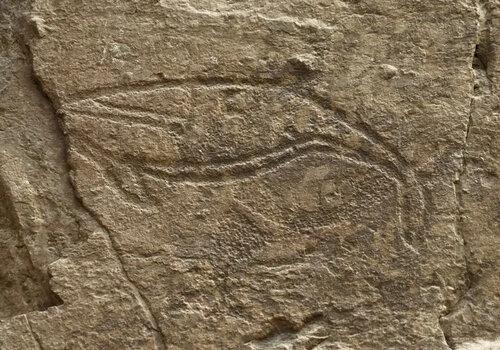 Baleine gravée sur la falaise de Bangudae (Corée du Sud). Néolithique. 