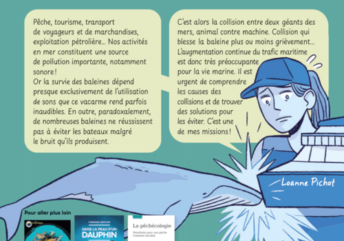 BD Sciences en bulles