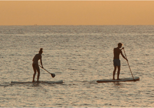 Paddle/équilibre Paddle/équilibre